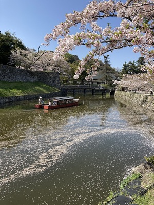 表門跡と桜