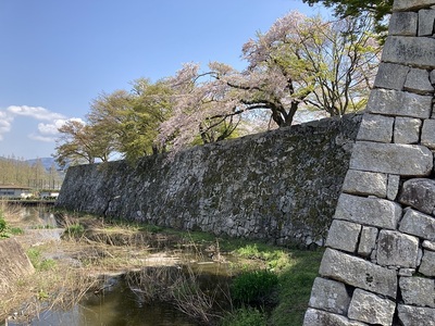 山崎曲輪の石垣