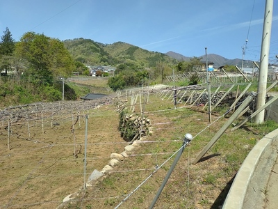 西部風景