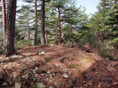 西南角櫓跡風景