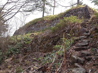 登山道から眺める本丸の石垣