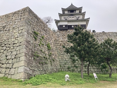 石垣から天守を見上げる