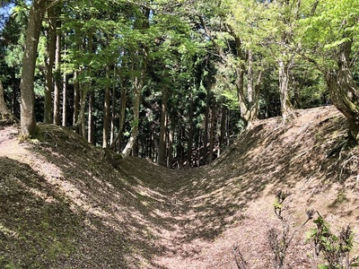 大手郭と虎口郭間の堀切