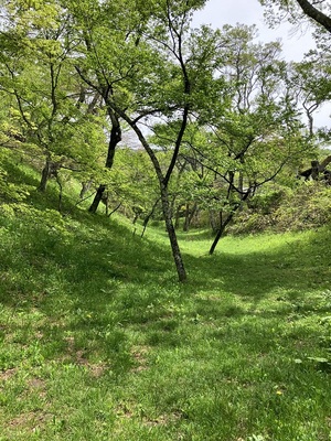 二の丸と法幢院曲輪の間の空堀