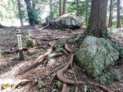 井の宮石陵