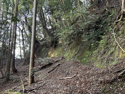 岩盤切岸