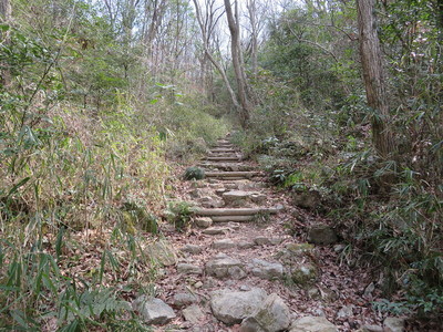 龍ノ口グリーンシャワーの森正門からの登山道（終盤）