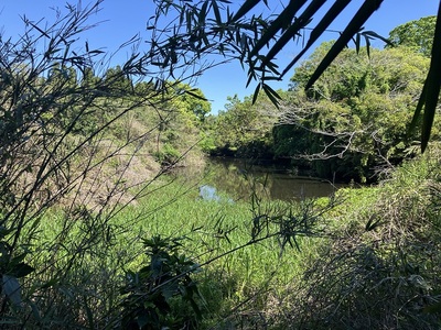 城址南にある水堀の東端