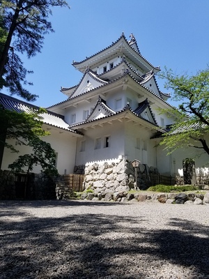 見上げる大垣城