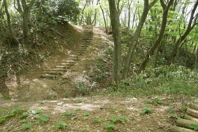 主郭切岸と横堀