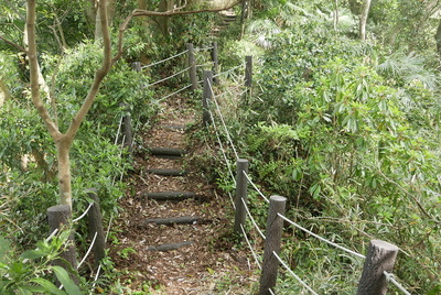 本丸への尾根道