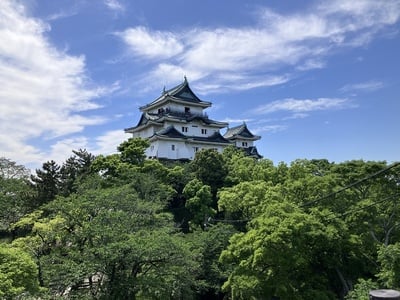 天守(本丸御殿跡から)