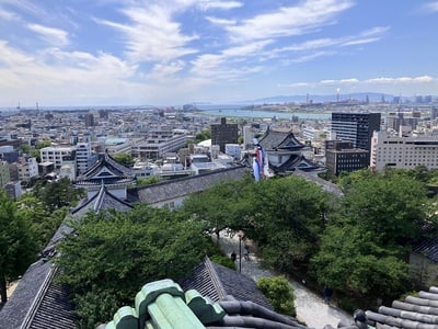 天守から紀ノ川河口