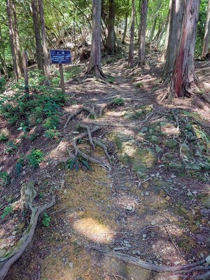 大手山道の土橋