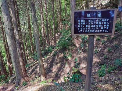 大手山道の竪堀と案内板