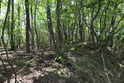 土塁：城域の北東側