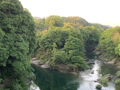 牛渕橋からの長篠城址