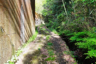 登城路