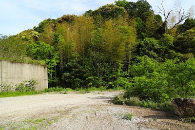 城址全景（北側）