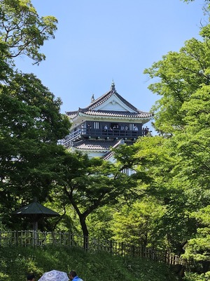 遠めからの天守閣