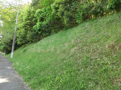 道路沿いの盛り土