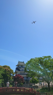 着陸する旅客機と展望台