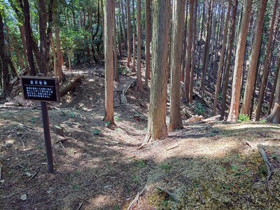 出曲輪南側の畝状竪堀其の弐