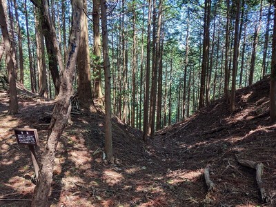 三の曲輪西側の竪堀