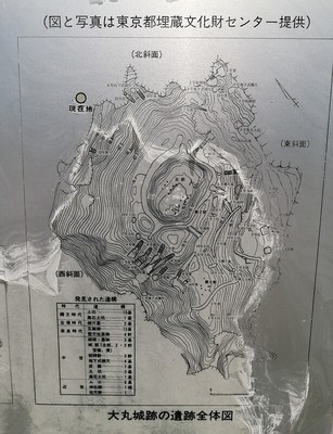 大丸城跡の遺跡全体図