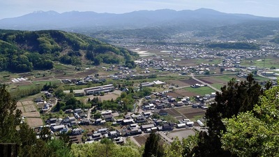 展望台から臨む龍岡城