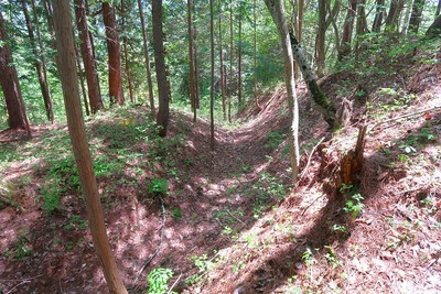 梨打城 城域北東の堀切