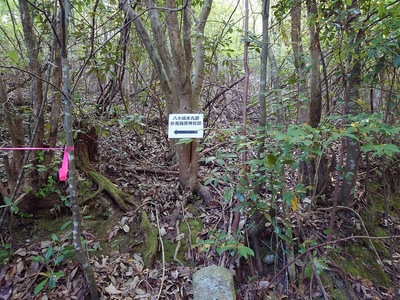 西回り登山口（高速道路と墓地横から入る）