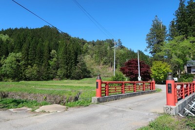 向小島城 恵比須神社前より望む城山