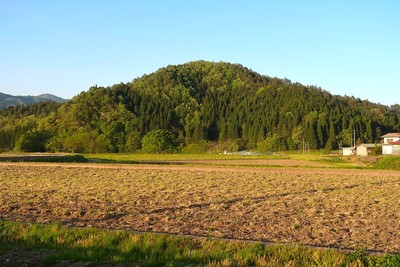 向小島城 遠景（南西より）