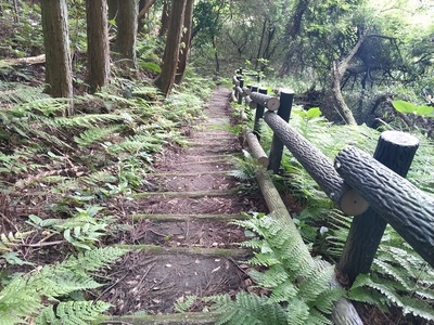 登城の途中の道