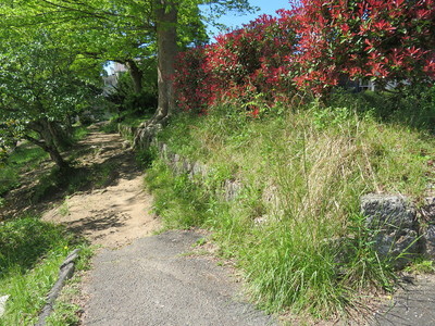 石垣・土塁跡