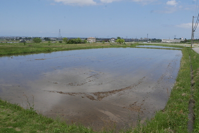 本丸跡