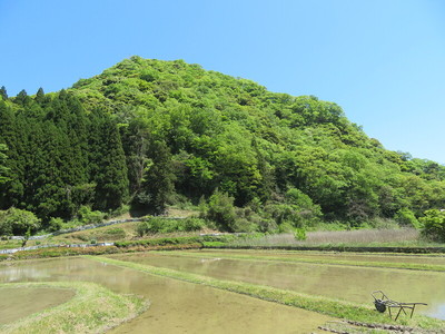 南西側から遠景