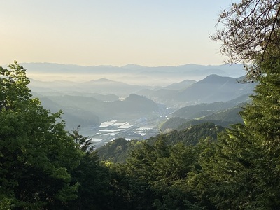 登城路からの眺望