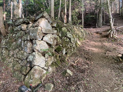 園林寺からの登山道