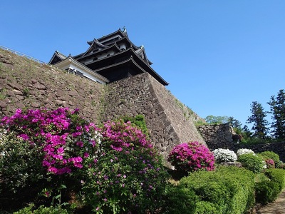 天守台とお花