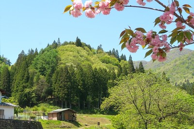 寺林城 東から望む城山