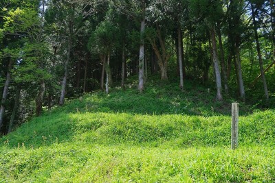 寺林城 東尾根