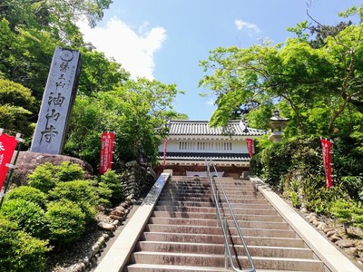 見上げての油山寺山門