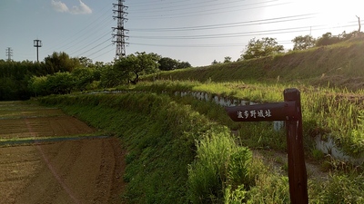 登城路