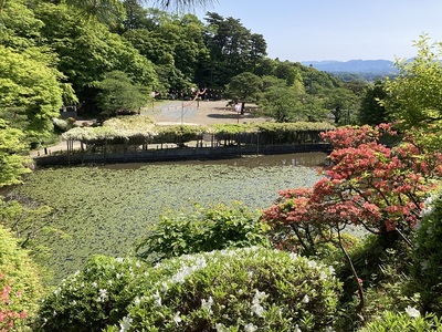 霞ケ池(洗心亭より)