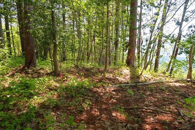 石神城 主郭風景