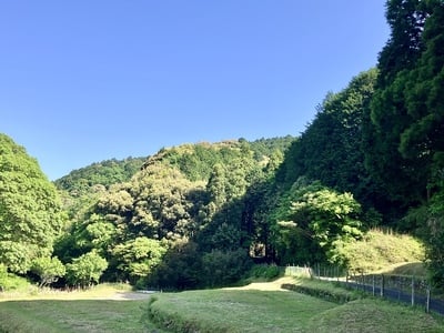 岩略寺城（全景）