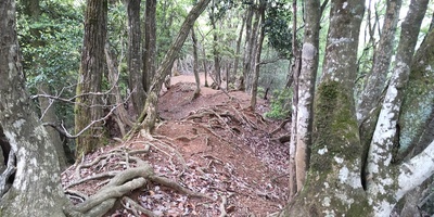 主郭から南尾根の土橋