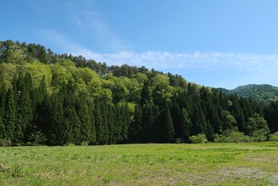 北より望む野中城城山